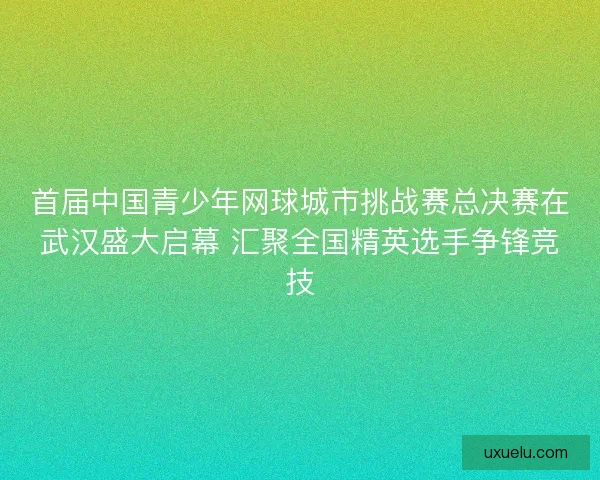 首届中国青少年网球城市挑战赛总决赛在武汉盛大启幕 汇聚全国精英选手争锋竞技